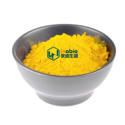 Sophora Japonica Extract Rutin Bulk Supply