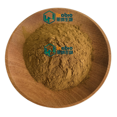 100% USDA Certified Organic Lion’s Mane Mushroom Powder