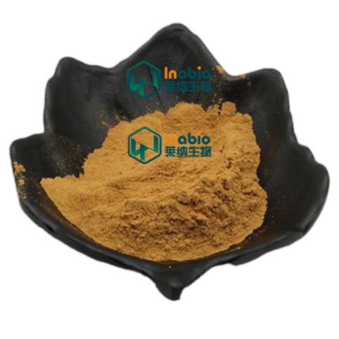 Manufacture Scutellaria Baicalensis Extract Baicalein Powder