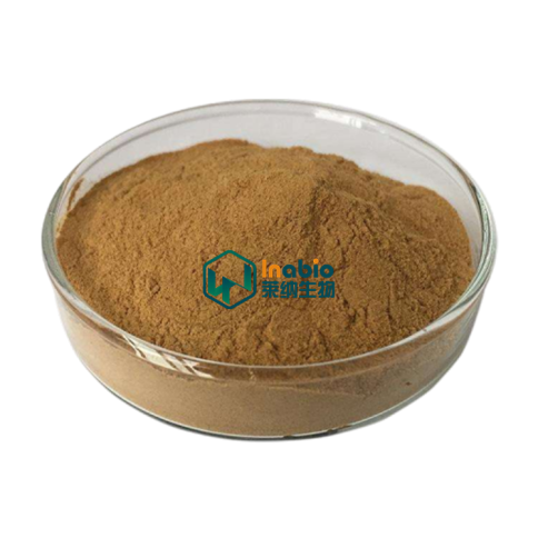 High Quality Lavender Flower Extract Powder