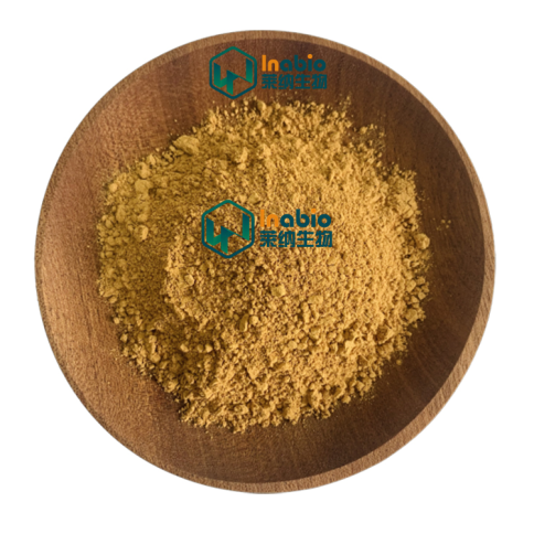 Supply Gynostemma Pentaphyllum Extract/ Jiaogulan Extract