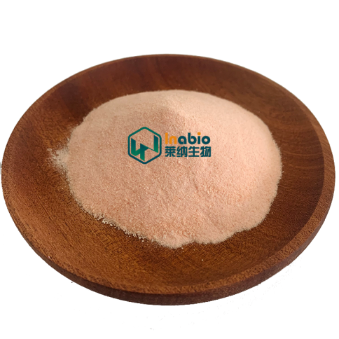 Nutritional Supplements 98.0-102.0% Manganese Gluconate Powder