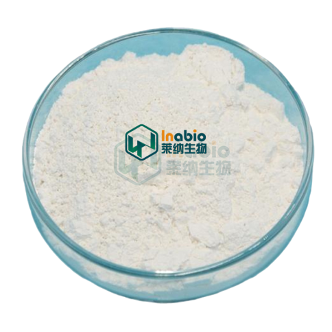 Manufacturer Supply Food Grade Additive Xylanase Enzyme Powder