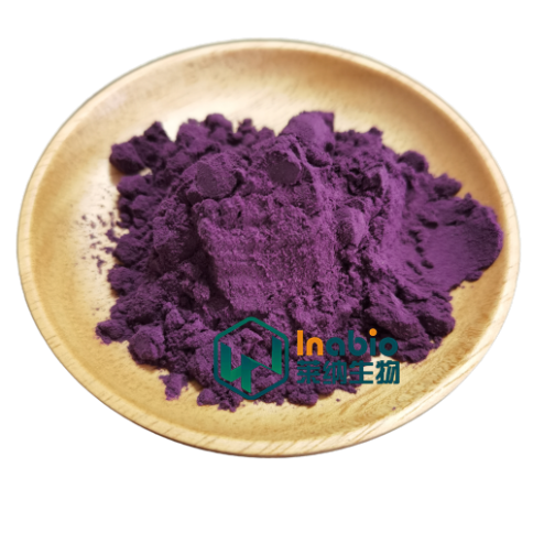 100% Pure Organic BlackBerry Juice Extract Powder