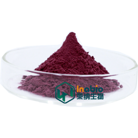 High Quality Cranberry Extract Powder Proanthocyanidins 36%