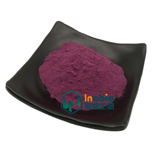 High Quality Anthocyanidins 25% Cranberry Extract Powder