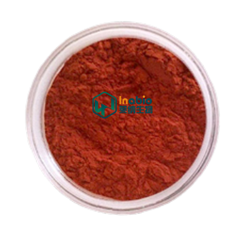 High Quality Elderberry Extract Powder