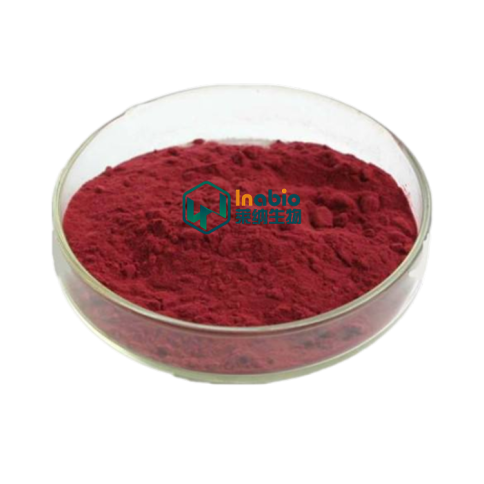 High Quality Blackcurrant Extract Anthocyanidin Powder