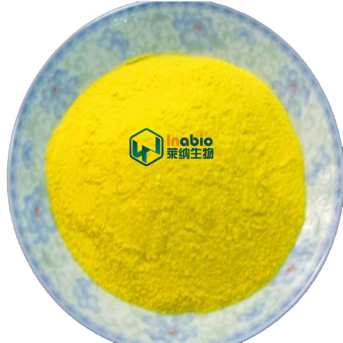 Top Quality Organic Boswellia Serrata Extract