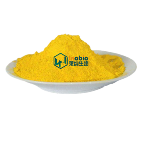 High Purity Quality Organic Quercetin Powder