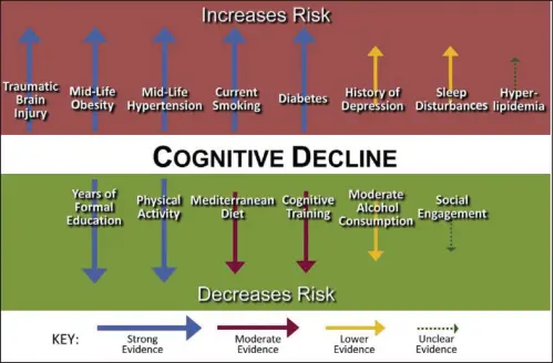 Cognitive Decline