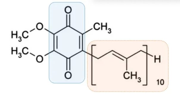 Structural formula