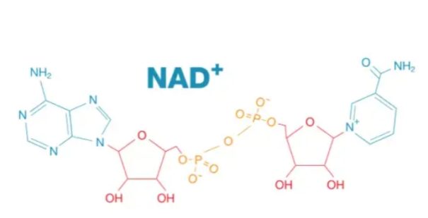 Structural formula